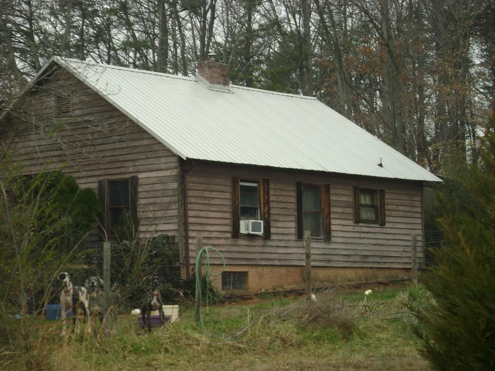 White metal roof on an old wood sided farmhouse, from a Asphalt Shingle Roof Repair job in Encampment